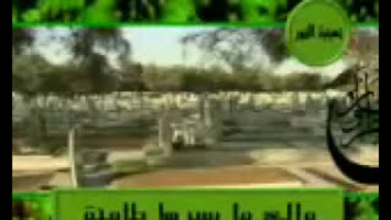مُناجاة الشّاكين -  الرادود جمعه حامد