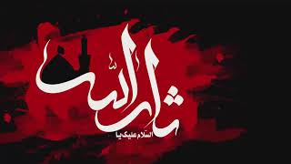 اربعينية الامام الحسين عليه السلام -20 من شهر صفر