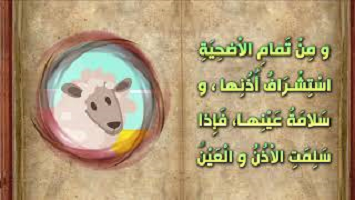 وصف الاضحية - نهج البلاغة