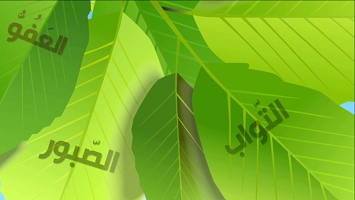 ما هي الذنوب التي تحبس الدعاء - دعاء كميل