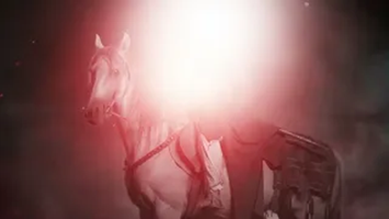 نعي شهاده الإمام علي بن موسى الرضا عليه السلام