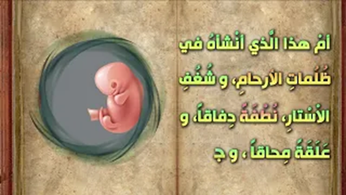 من كلام له في صفة خلق الانسان - نهج البلاغة - اصدارات حسينية النور